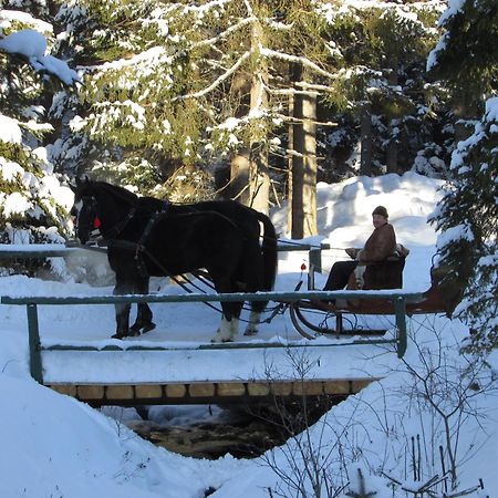 Koliba Ski Gruniky Sihelné Exterior foto